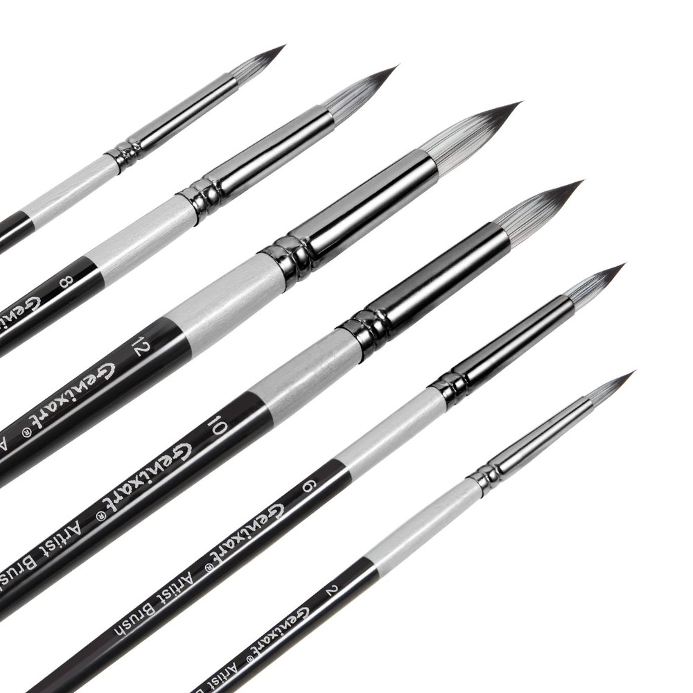 Round Pointed Tip Paint Brushes Set, 6 Pcs Artist Paintbrushes Round, Black