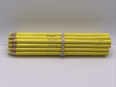 (20) Crayola Colored Pencils (daffodil) BULK