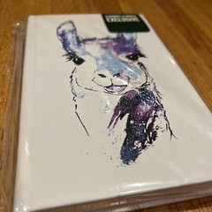 Llama Sketch Book Barnes & Noble Exclusive 72 Pgs Faux Leather Cover