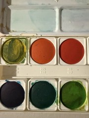 Royal Talens Transparent Watercolours 12 Pan Watercolor Set 31MP12 paint art