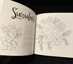 The Colors of Nature Coloring Book Lindsay Hopkins Adult Coloring Sketch