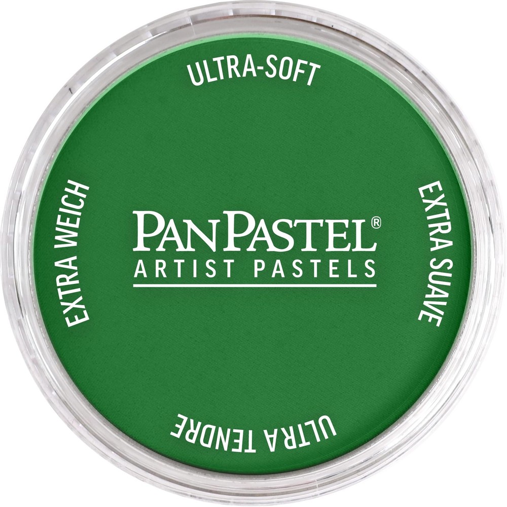 Artist Pastels by GOLDEN, Permanent Green Shade, 2.44” / 62mm Pan Diameter, P…