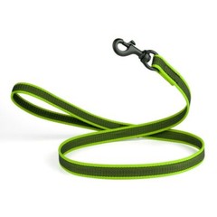 Rubber Infused Nylon Leash W3/4″ x L 4′ Green