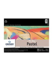 Canson Mi-Teintes Pastel Assorted Pad
