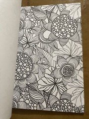 Floral Wonders Color Art Adult Advanced Coloring Book Flower Designs Brand NEW