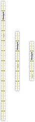 Marking Ruler Trio Set 4 6 12 Omnigrid Clear Dritz Lengths