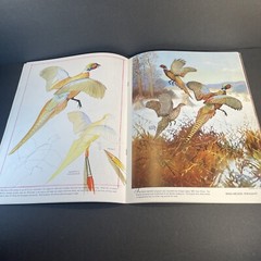 Vtg How to Draw and Paint Birds Softcover Book Walter Foster Art Manual 1960s