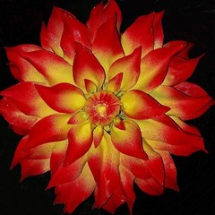 Color Changing Thermochromic Paint Temperature Activated Heat Sensitive