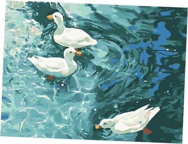 Paint by Numbers Kit for Adults 16″X20″Rolled Canvas(Frameless)-Summer Duck