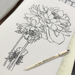 LERAO Micron Pen Set,Fineliner Pens Fine Liner Pen,Micro Pens for Drawing Ske…