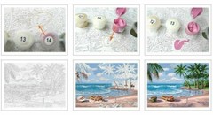 Paint By Numbers DIY Kit Colorful Zebra 40CMx50CM Canvas