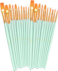 Paint Brushes Set, 20 Pcs Small Paint Brush Kit round Flat Tip Nylon Hair, for A