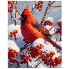 Cardinal Bird Paint by Numbers Kit for Adults, Cardinal Bird Painting by Numbers