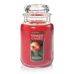 Yankee Candle Macintosh Scented, Classic 22oz Large Jar 22 oz,