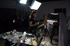 Stephanie Birdsall: Lemons and Leaves -The Natural Still Life – Art DVD