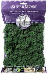Preserved Reindeer Moss Forest Green 2oz SuperMoss 21703