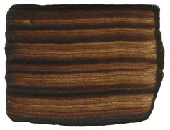 M. Graham Artist Oil Paint Burnt Umber 1.25oz/37ml Tube Kitchen