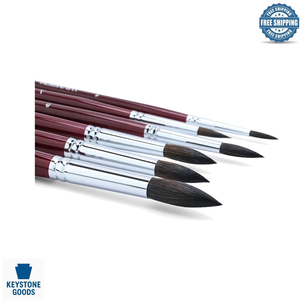 Transon Squirrel Hair Round Paint Brush Set – 6 Short-Handle Art Brushes for …