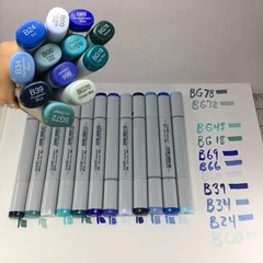 12 Copic Sketch Markers (BG) 78, 72, 70, 45, 18 & (B) 69, 66, 60, 39, 34, 24, 00