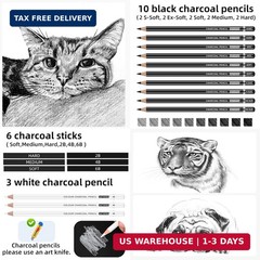27 Piece Charcoal Drawing Set – Professional Black & White Charcoal Pencils for