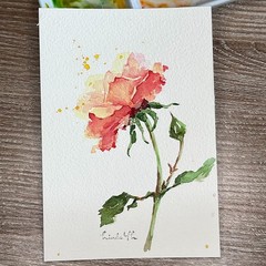 Original Art Watercolor Painting/card Red Rose flowers