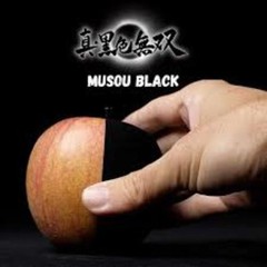 MUSOU BLACK PAINT Acrylic Paint 1L Bottle spray plastic models art bursh doll