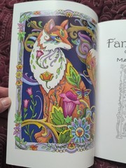 Dover Publications-Creative Haven: Beautiful Butterfly & Fanciful Foxes (2)
