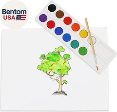 Bulk Dry Watercolor Paint Set with Wood Brushes, 12 Washable Vibrant Colors, Pac