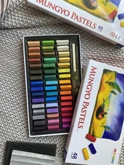 48 Color Artist Chalk Pastels Soft Pastel Set Art Supplies Painting Non Toxic