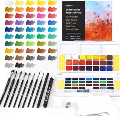 Watercolor Paint Set 48 Colors Tutorial Pad 8 Brushes Water Pen Drawing Kit