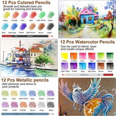 83 pcs Professional Drawing Artist Kit Set Pencils and Sketch Charcoal & Bag