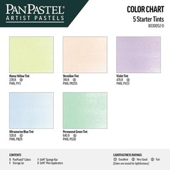Artist Pastels by GOLDEN, Starter Tints Set, 5 Color, Professional Artist Pas…