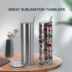 AGH 10 Pack 20oz Sublimation Straight Skinny Stainless Steel Vacuum Insulated…
