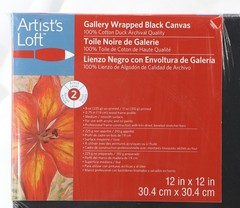 Artist Loft 12” x 12″ Black Gallery Wrapped Canvas New Artist Level 2