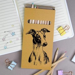12 x ‘Whippet Dog Portrait’ Long Colour Pencils (PE00081743)