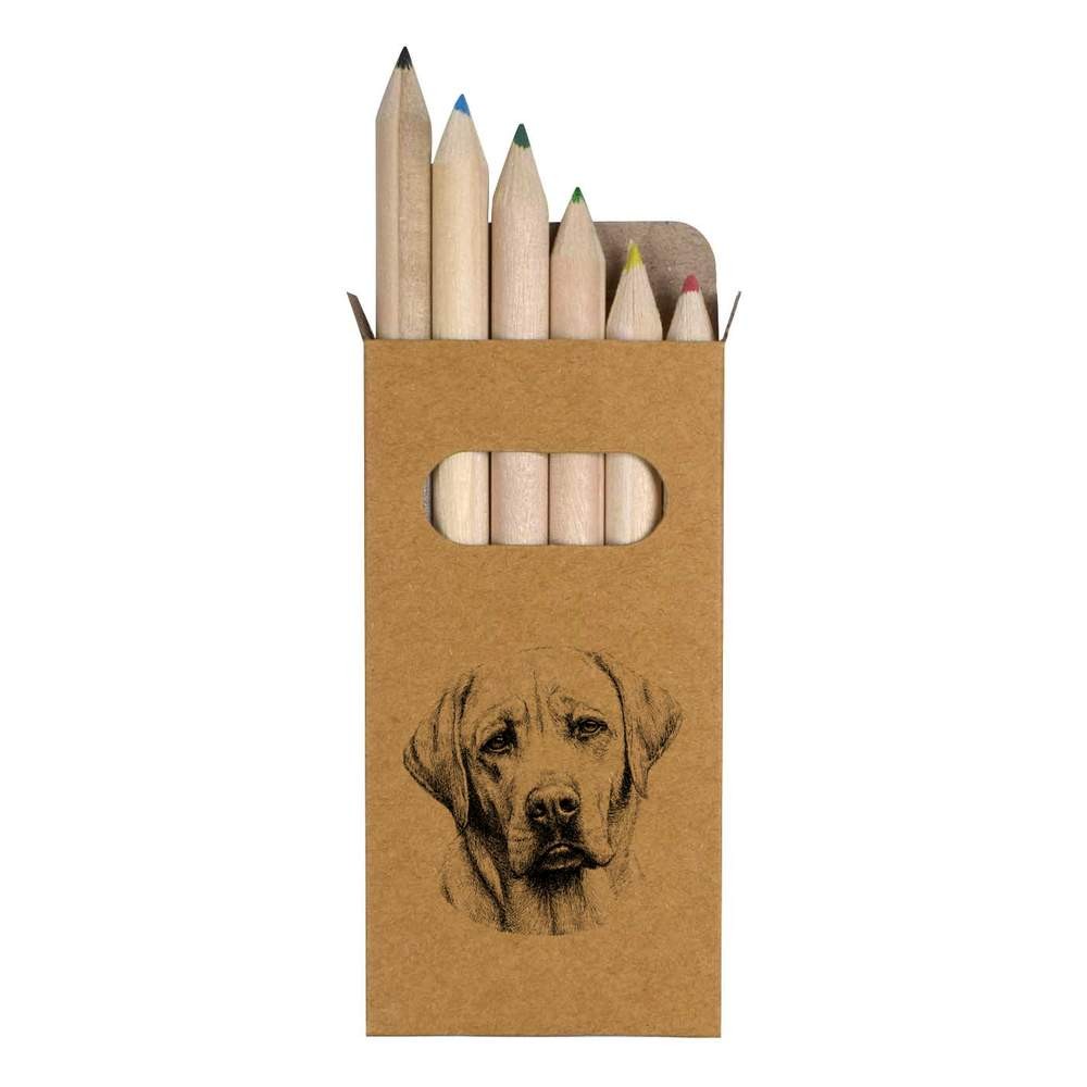 6 x ‘Labrador Retriever Dog Portrait’ Short Colour Pencils (PE00081740)