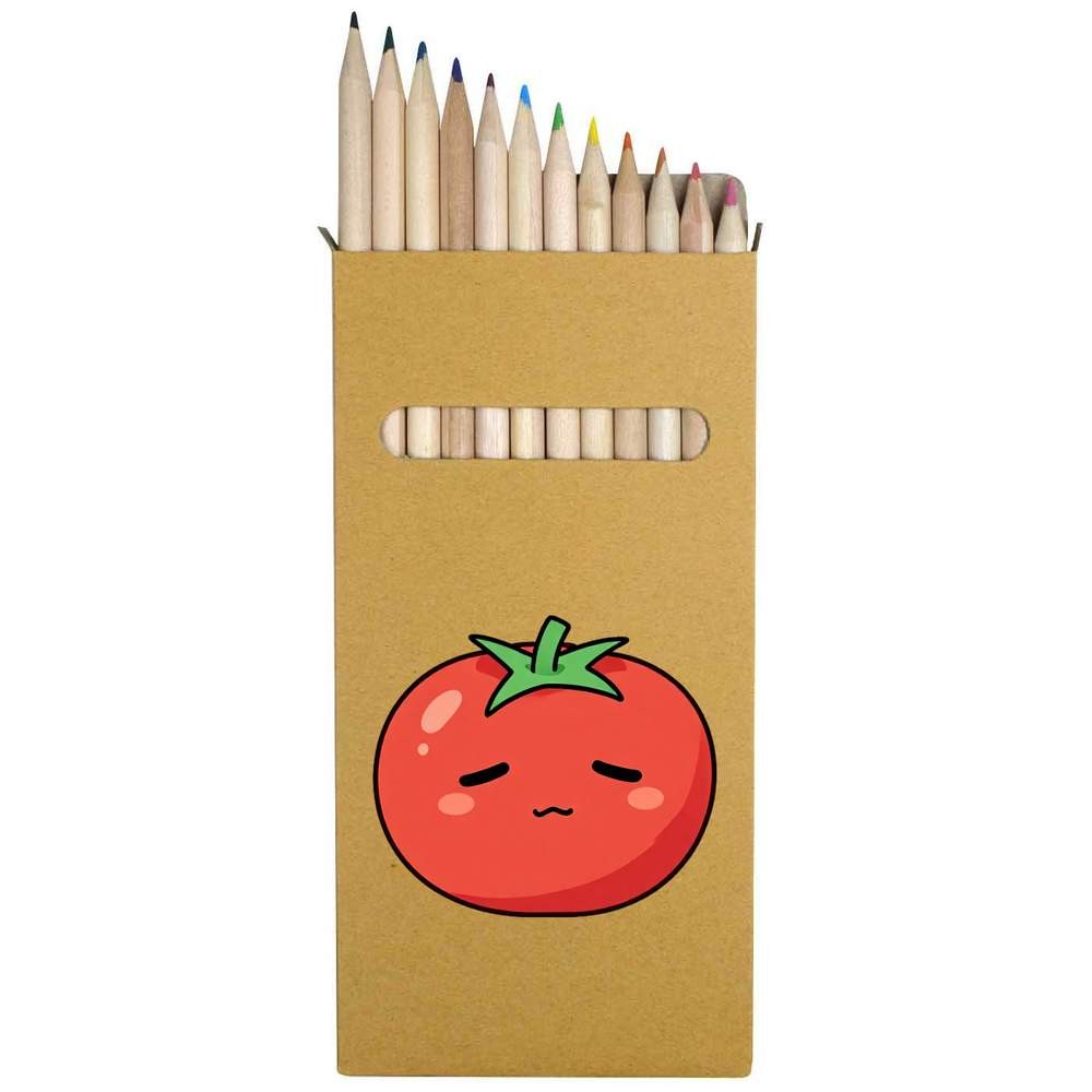 12 x ‘Sleepy Tomato’ Long 178mm Coloured Pencils / Pencil Set (PE00096857)