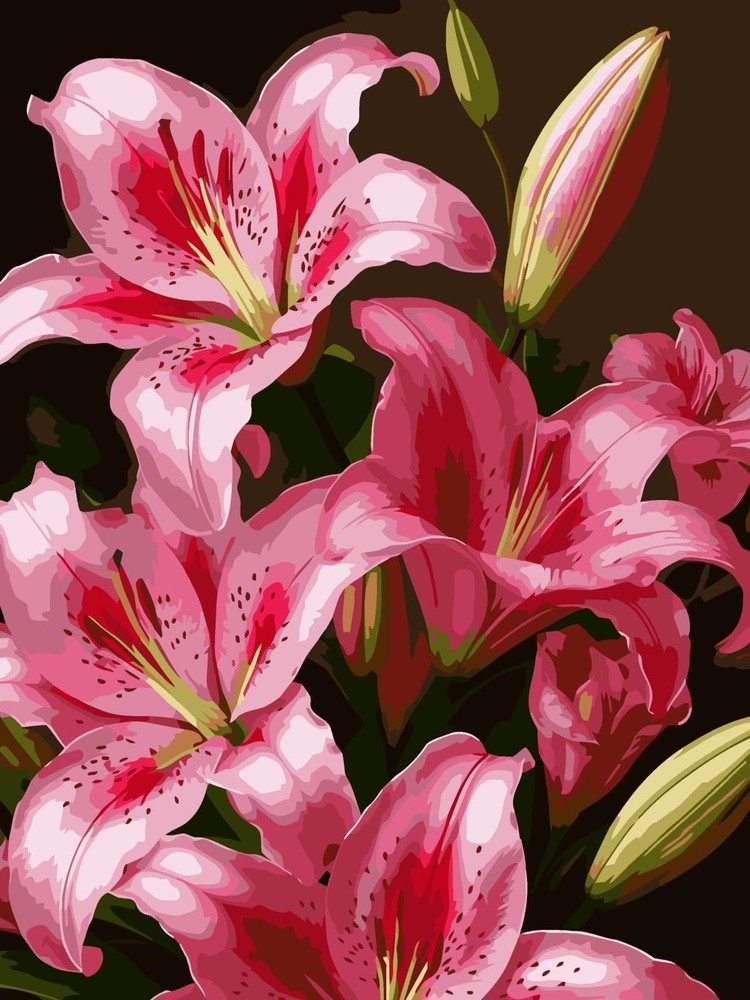 Paint by Numbers for Adults Beginner, Lily Flower Adult Paint by Number Kits on