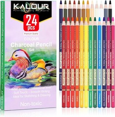24 Artist Quality Colored Charcoal Pencils – Perfect for Sketching & Blending