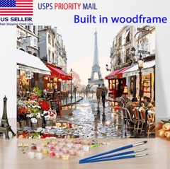DIY Oil Painting By Numbers Kit Paint on FRAMED Canvas For Adult Kid Beginner P