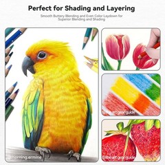 Arrtx 72 Colored Pencils for Adult Coloring Drawing Blending Shading Sketchin…