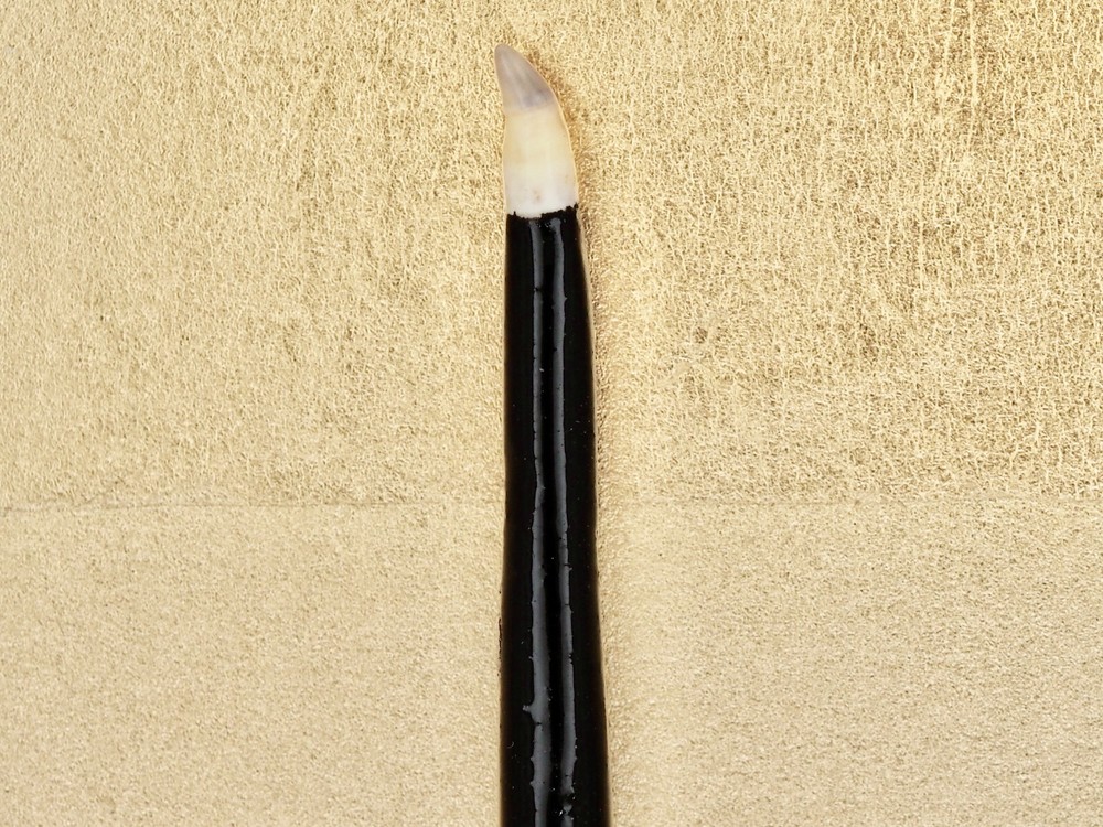 Traditional Bream Tooth Polishing (Burnishing) Tool – For Japanese Kintsugi
