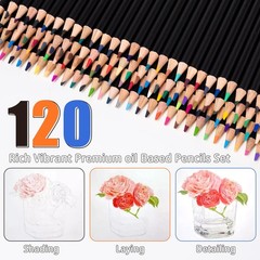 120 Colored Pencils for Adult Coloring Books, Professional Soft Core Drawing …