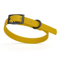 Dog Pet Waterproof Collar – W1/2″ x L9″-12″ – Treasure Gold