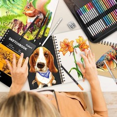 Versatile 176PCS Drawing Supplies Kit with 3-Color Sketch Book & Accessories