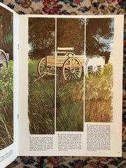 Vintage Walter Foster How To Draw Paint Sketch Instructional Books