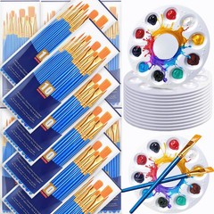528PCS Valued Paint Brushes and Palettes Set，48Pack of 480PCS Paint Brushes B…
