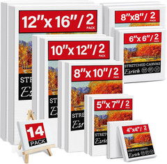 14 Packs Stretched Canvas for Painting, MultiSize 12×16, 10×12, 8×10, 5×7, 8×8,