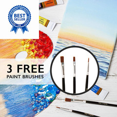Acrylic Paint Set Canvas Art Paints 24 0.36 Fl Oz (Pack of 27), ASSORTED