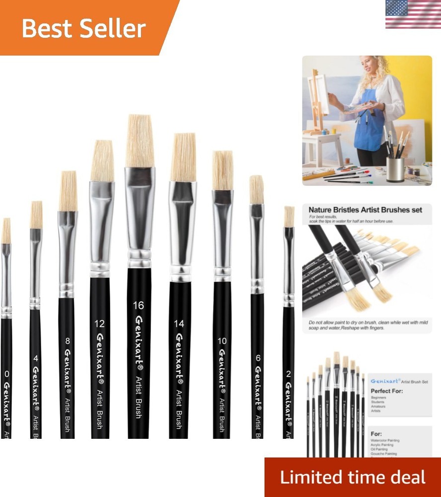 Ideal 9-Piece Artist Brush Set for Students & Professionals – Black Handle